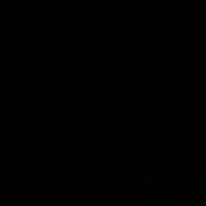 Meet your Posher, Quinn